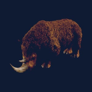 Woolly Rhino