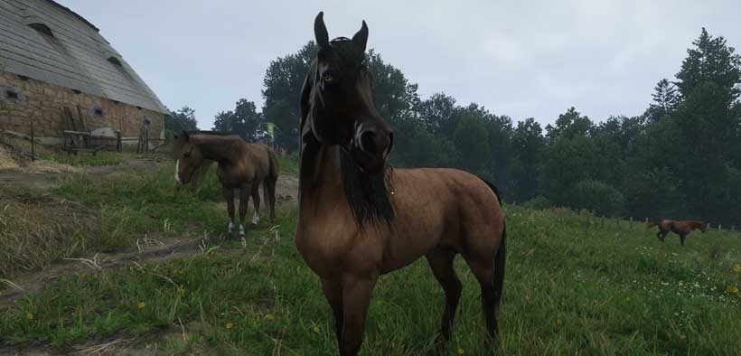 KCD2 Guides: The Secret Skills of Horses in Kingdom Come Deliverance 2