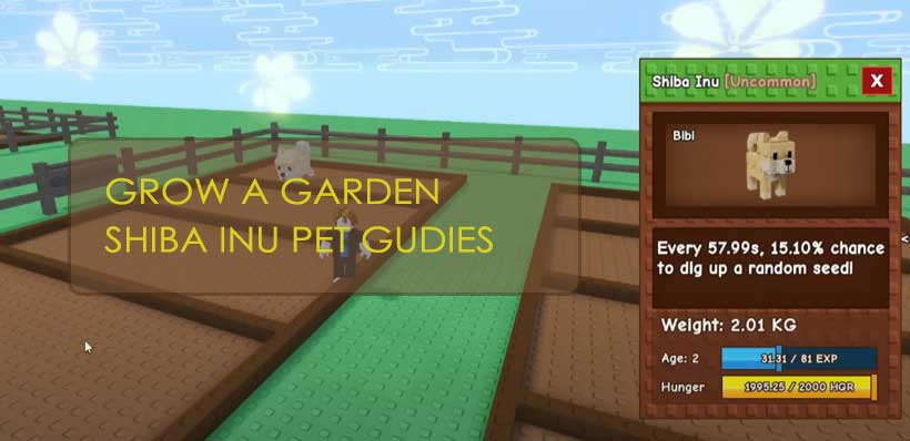 Grow a Garden Shiba Inu Pet Making Sheckles Guides