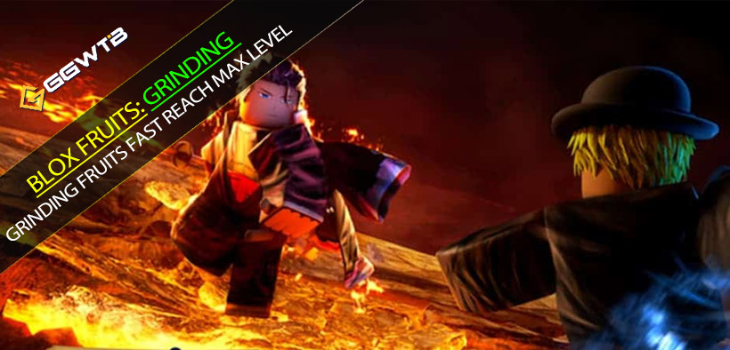 Blox Fruits Best Grinding Fruits - Fast Reach Max Level