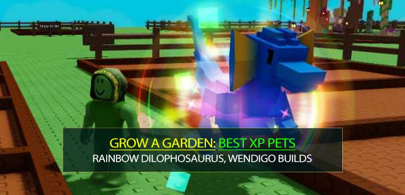 Grow a Garden Best XP Pets: Rainbow Dilophosaurus, Wendigo, Golden Piggy Builds