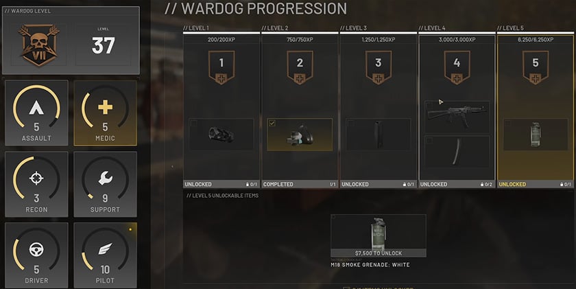 Medic Level Progression Medic Level Progression