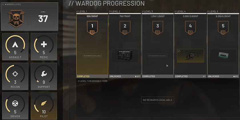 Pilot Level Progression Pilot Level Progression