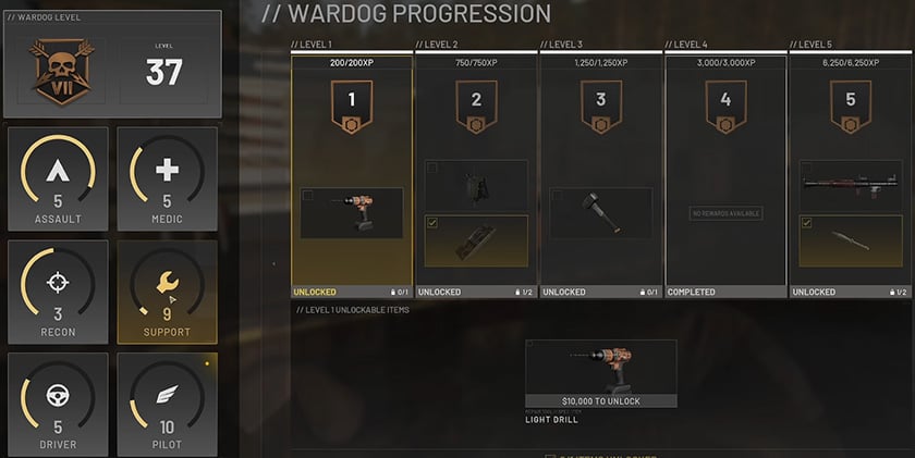 Support Level Progression Support Level Progression