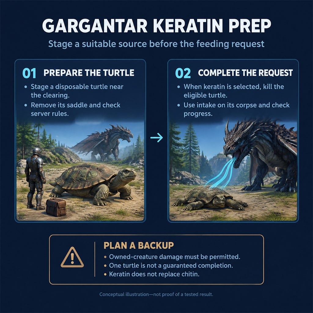 Prepared turtle source followed by corpse intake during a keratin request
