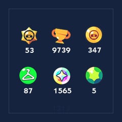 [1313] Brawlers x 53 | Skins x 87 | Trophies x 9739 | Bling x 1565 | Coins x 347 | Gems x 5