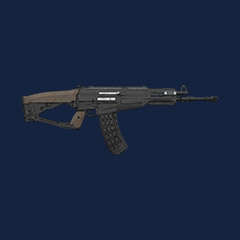 AR-2 Coyote - Max Lvl