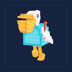 Pelican Pachetto