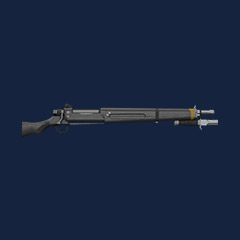 R-2124 Constitution - Max Lvl