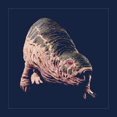 Aberration Roll Rat | Lvl 361, 8 Colors [8xPair]