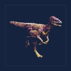 Troodon | Lvl 362, Top Stats