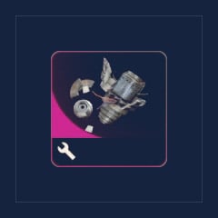 Amplified Fragments