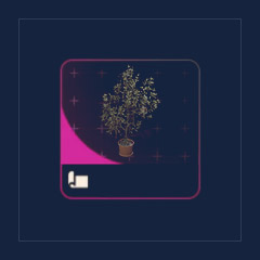 Holly Bush Design