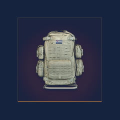 Large Backpack