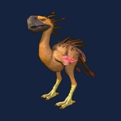 MOUNT: Sunkissed Clawfoot