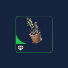 Potted Plant