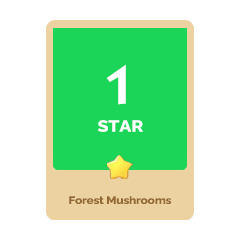 Forest Mushrooms