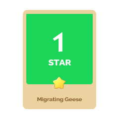 Migrating Geese