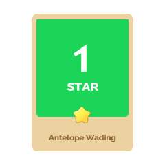Antelope Wading