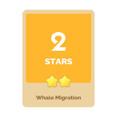 Whale Migration