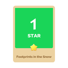 Footprints in the Snow