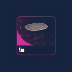 Sturdy Aviary Table Design