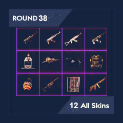 38 Round | 12 Unique Skins