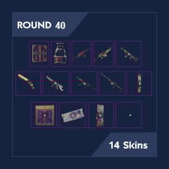 40 Round | 14 Unique Skins