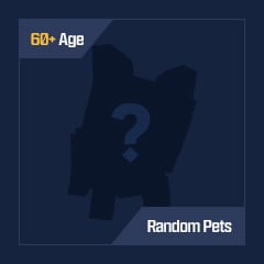 60+ Age | Random Pet