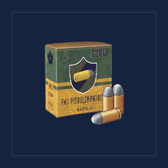 8x21 mm FMJ Ammo
