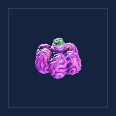 Acid Raion