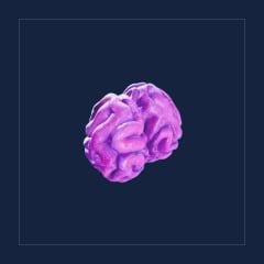 Acidic Raion Pouch