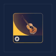 Acoustic Guitar