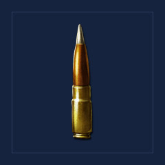 Advanced Sniper Bullet [x100]