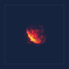 Amplicorum