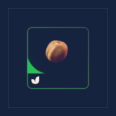 Apricot