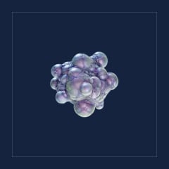 Axum Bacterial Culture