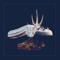 Basilisk | Lvl 362, 17 Colors [17xPair]