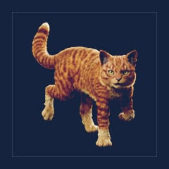Cat | Lvl 362, 31 Colors [31xPair]