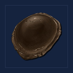 Chitin [x180K]