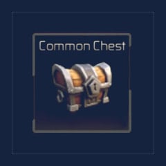 Common Chest [100K]