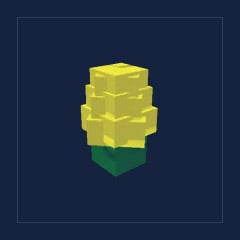 Corn Seed