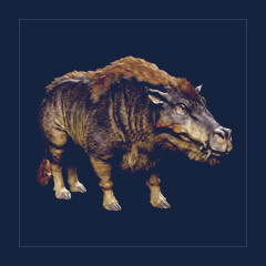 Daeodon | Lvl 362, 35 Colors [35xPair]