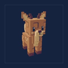 Deer