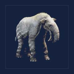 Deinotherium | Lvl 362 | Top Stats