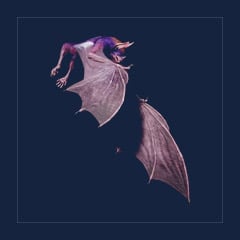 Desmodus | Lvl 362 | Top Stats