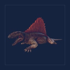 Dimetrodon | Lvl 362 | Top Stats