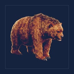 Aberrant Dire Bear | Lvl 362, 12 Colors [12xPair]