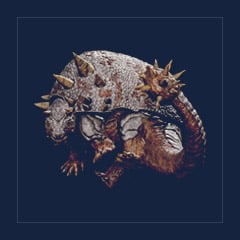Doedicurus | Lvl 362 | Top Stats