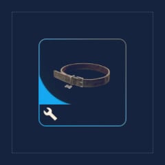 Dog Collar